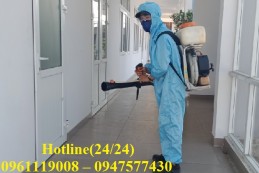 Trung tâm xử lý muỗi chất lượng an toàn tại Huyện Hóc Môn
