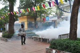 Diệt muỗi tại Hà Nội – Bảo hành 1-3 tháng, an toàn sức khỏe, sạch 100% muỗi