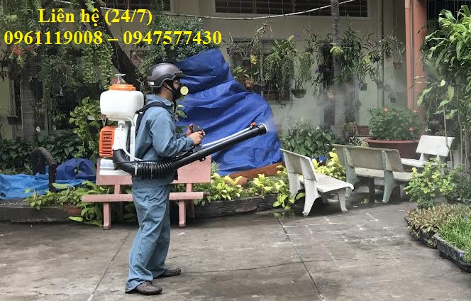 Dịch vụ phun thuốc diệt muỗi giá rẻ tại Bình Định