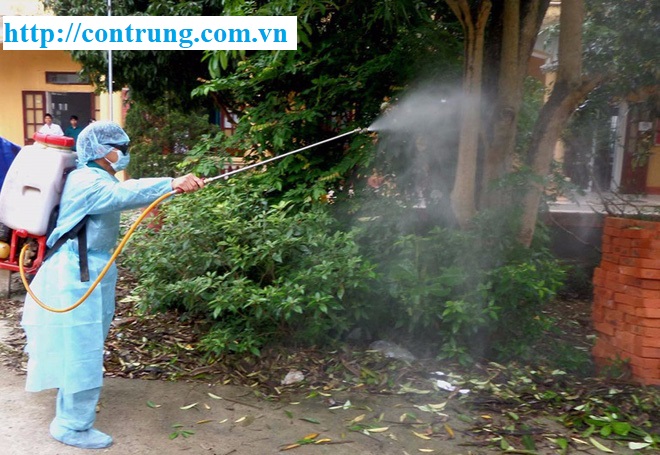 Dịch vụ phun thuốc diệt côn trùng, muỗi tại Sơn Tây Hà Nội