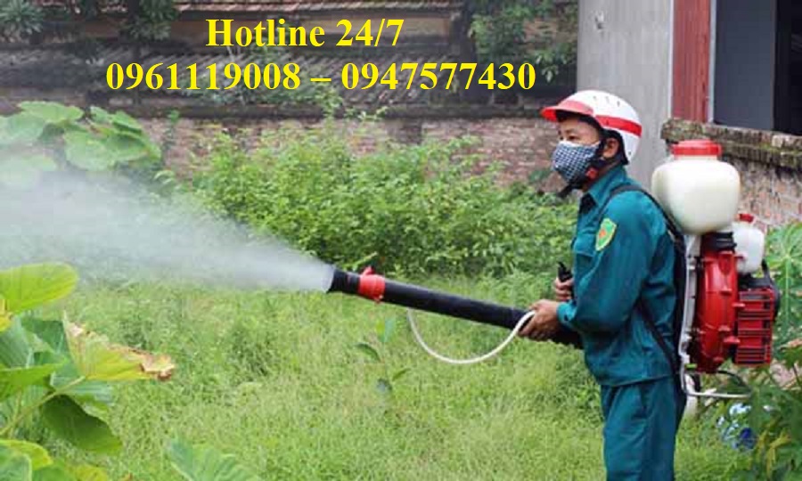 Dịch vụ diệt muỗi tại Nhơn Trạch-Đồng Nai chuyên nhận xử lý côn trùng cho nhà ở, công ty, nhà trường, bệnh viện,....đảm bảo an toàn và hiệu quả